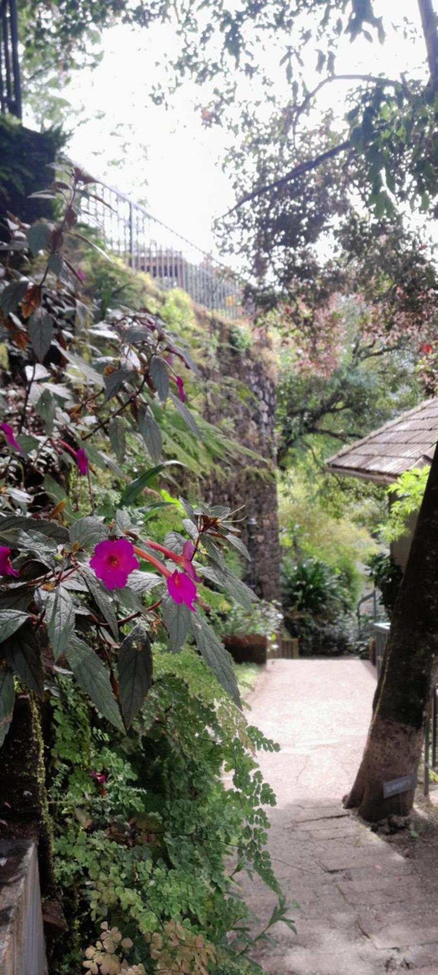 Blackberry Hills Munnar Nature Resort & Spa Exterior foto