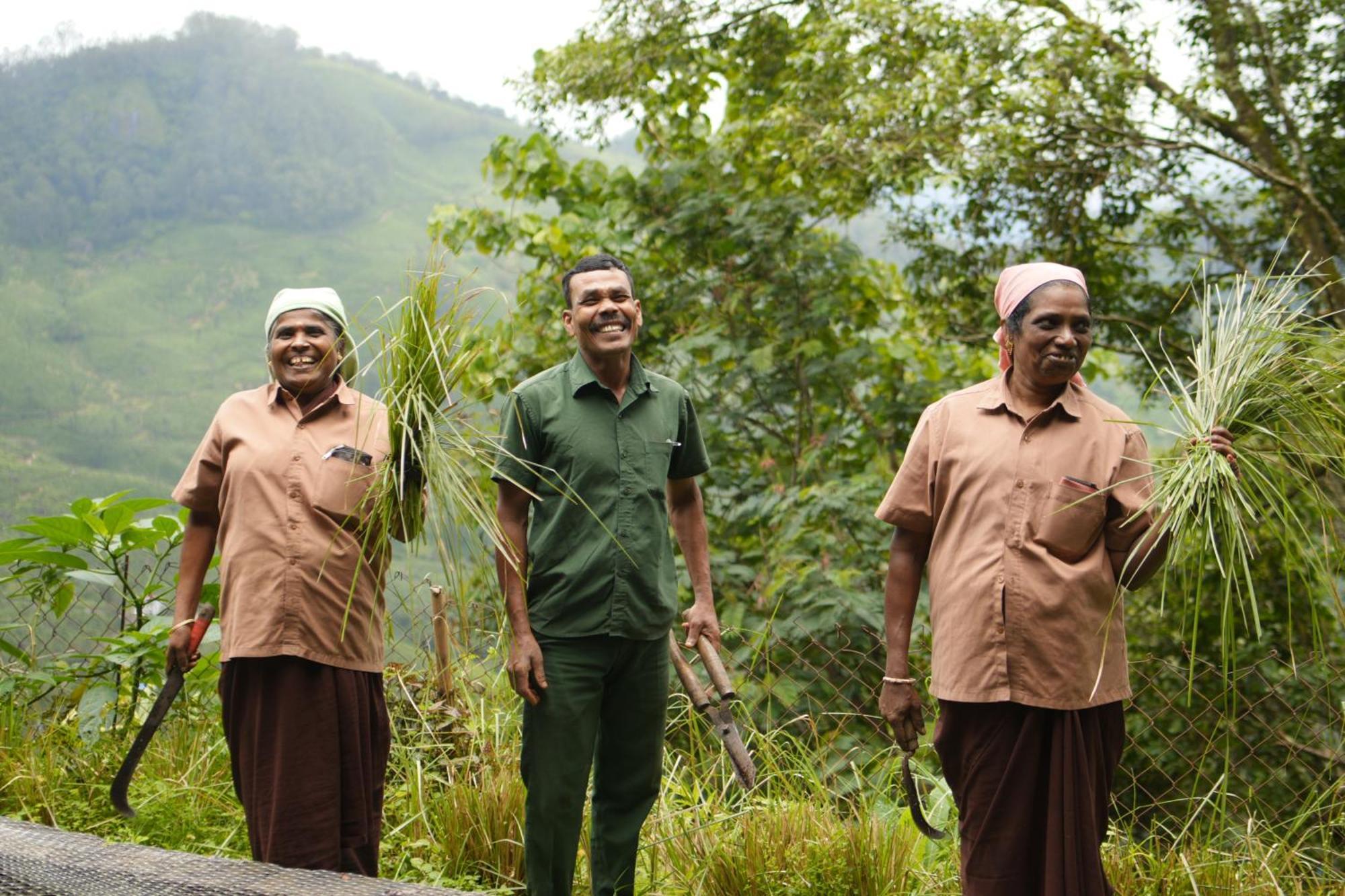 Blackberry Hills Munnar Nature Resort & Spa Exterior foto