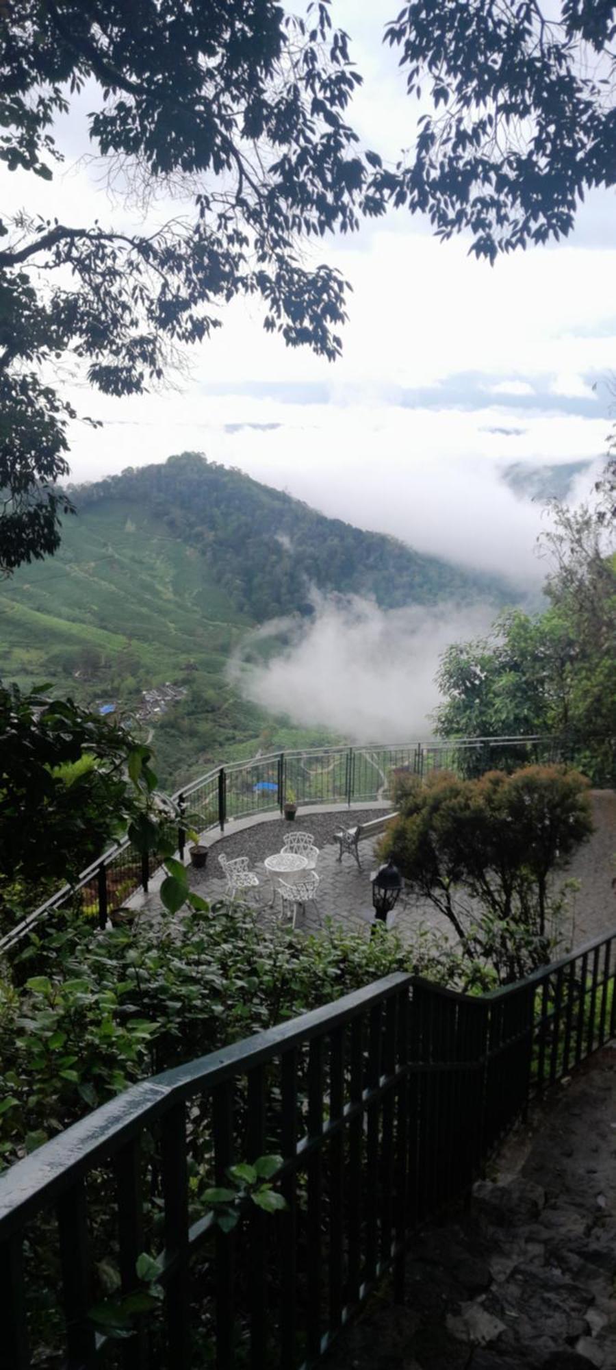 Blackberry Hills Munnar Nature Resort & Spa Exterior foto